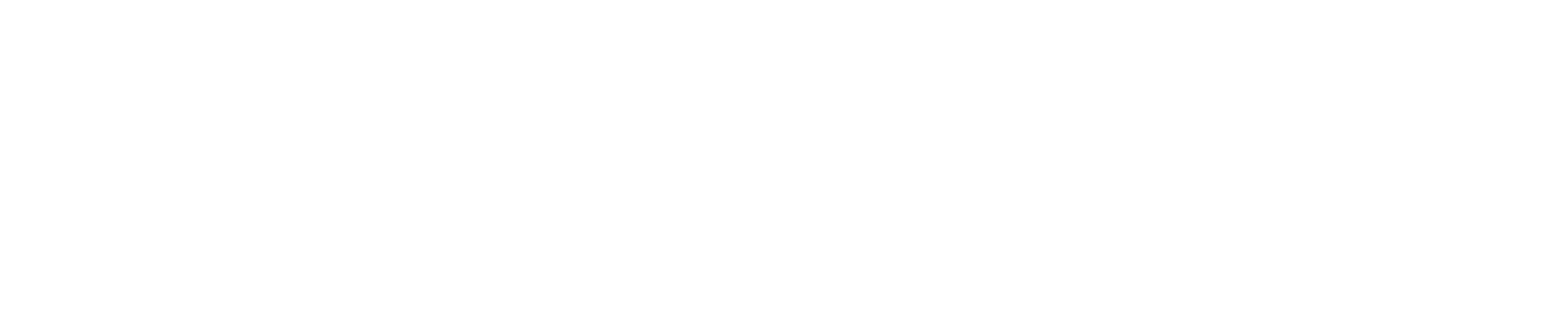 Logo TIMR